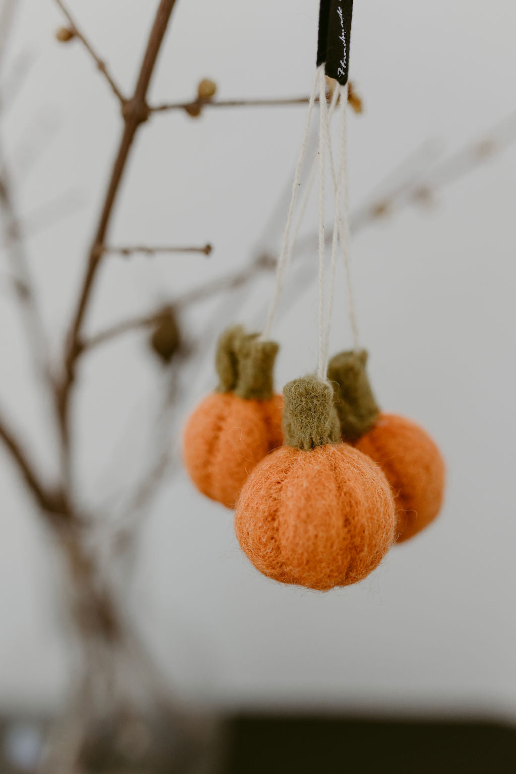Zucche Halloween (colore arancione)